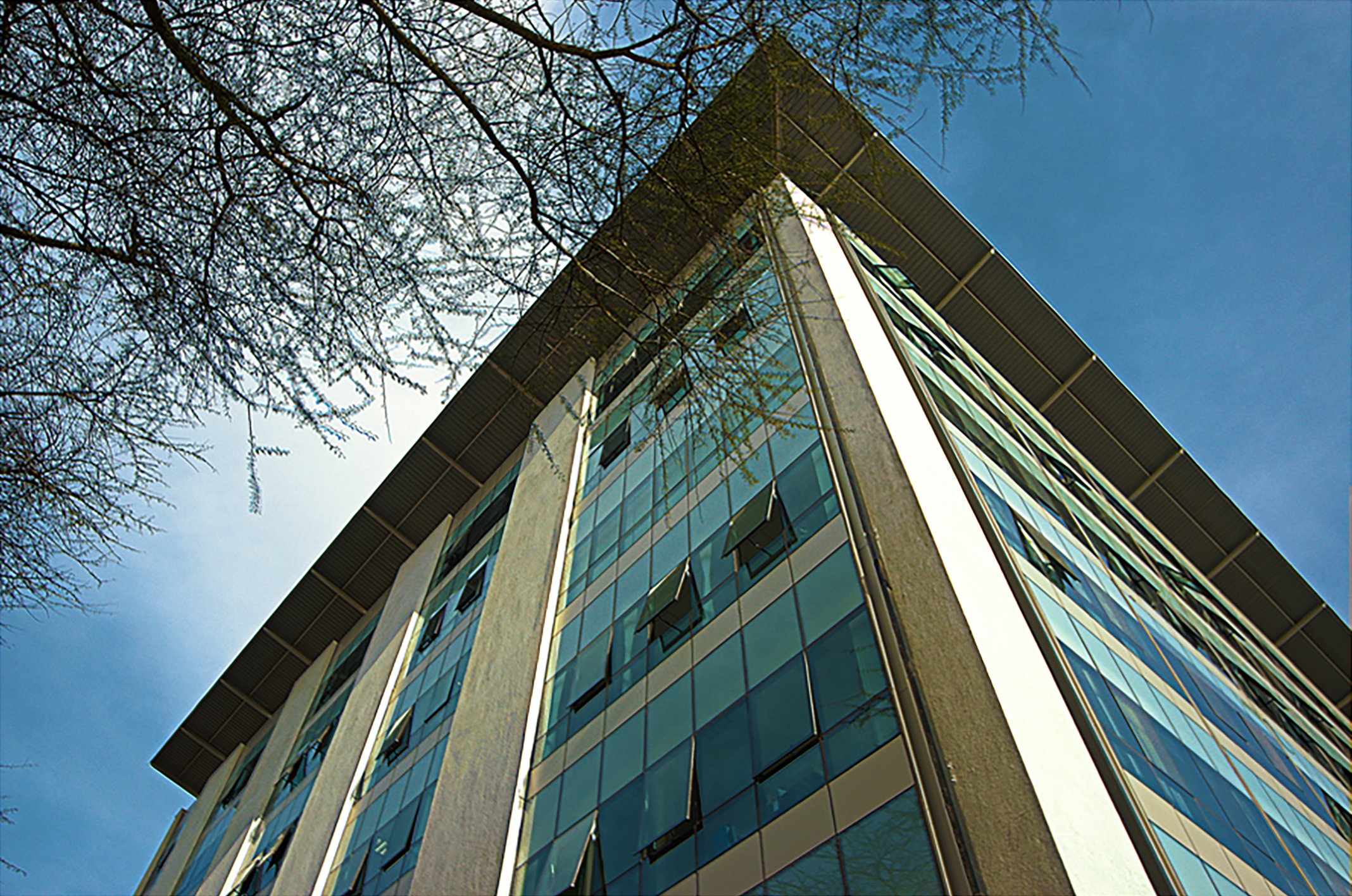 The Atrium, 2010 — image 6 of 9
